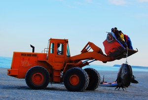 花蓮縣新城鄉—收穫●七星潭