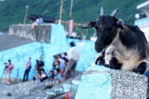 台東縣 蘭嶼鄉-眾人皆醉我獨醒