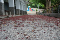 彰化縣彰化市----八卦山一角