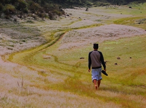 宜蘭縣大同鄉—千山我獨行