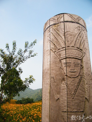 花蓮縣富里鄉--花海原影