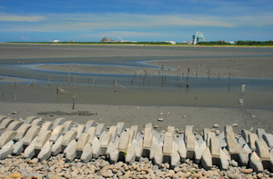 彰化縣福興鄉-濱海印象2007.7.4
