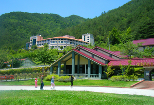 台中市和平區-武陵農場2009.5.29