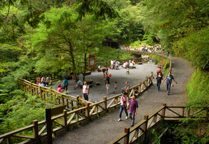 桃園縣復興鄉-拉拉山2007.7.7