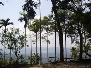 台南市楠西區-梅嶺