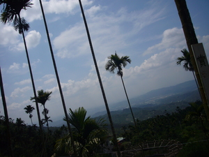 台南市楠西區-梅嶺