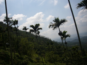 台南市楠西區-梅嶺