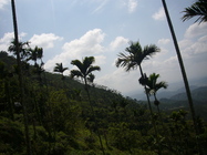 台南市楠西區-梅嶺