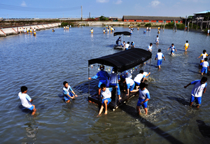 雲林縣口湖鄉-馬蹄蛤的家2011.11.3
