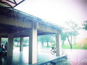 新北市中和區─雨中春光