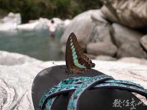 花蓮縣秀林鄉─青色邂逅