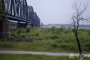 88風災後的大樹舊鐵橋