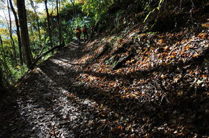 新竹縣尖石鄉 - 霞喀羅光影