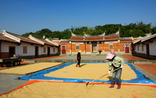 新竹縣新埔鎮 - 曬穀