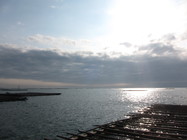 蚵仔；牡蠣；生蠔