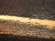 新竹市北區十七公里海岸線－南寮漁港