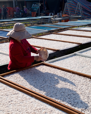 台南市_白河區曬蓮藕粉