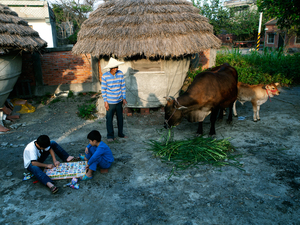彰化縣大城鄉_傳統穀倉