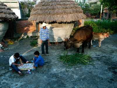 台灣拼圖_彰化縣