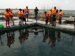 澎湖縣馬公市－菜園海上牧場