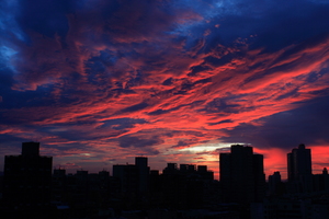 台北市信義區－前程似錦