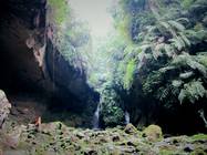 桃園縣復興鄉 三民蝙蝠洞