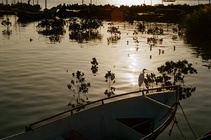 台北市北投區-鷺思關渡