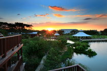 桃園縣八德市－生態埤塘公園