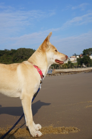 放她的手在你心上