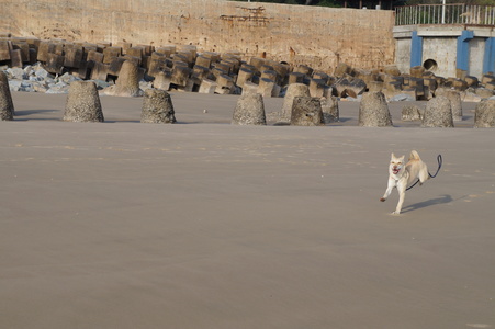放她的手在你心上