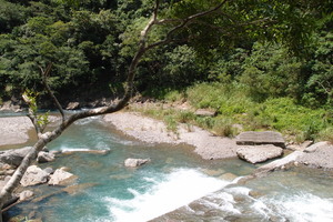 20130906拍攝於雙流森林公園