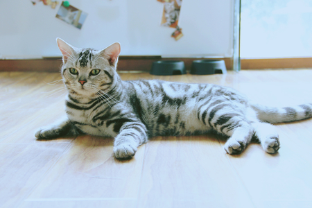 放它的手在我心上