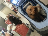 看,那一年,我們一同望向的地方