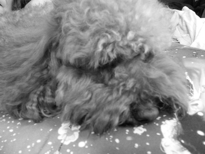 放牠的手在你心上