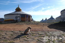 內蒙風情-蒙古包群落/陳旺展 2013年拍攝