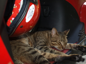 什麼時候也帶我去漂泊