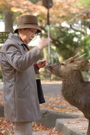 放牠的手在你心上