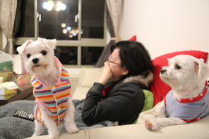 專心？不專心？