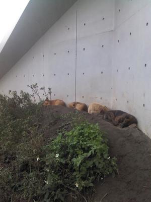 【徵件活動】放牠的手在你心上