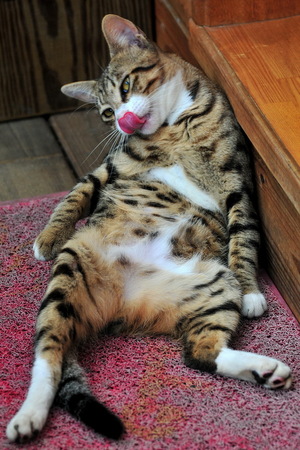 自然生態-福田分享