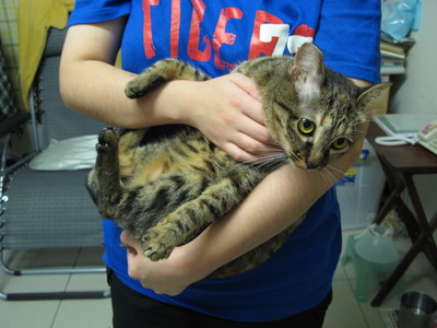 放牠的手在你心上