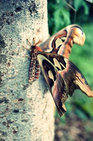 你們都在我心上