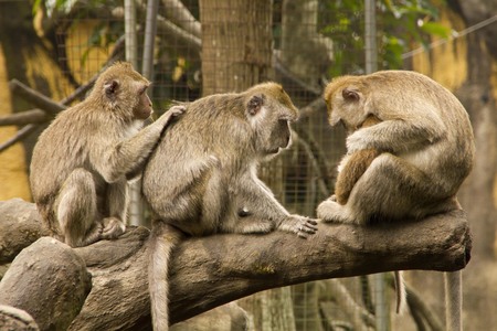 放牠的手在你心上