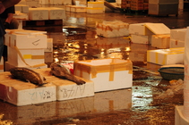 即將消失的傳統市場－漁市場2