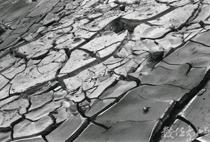 潮汐來到的日子之於夕陽之間-04