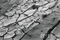 潮汐來到的日子之於夕陽之間-04