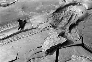 潮汐來到的日子之於夕陽之間-02