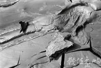 潮汐來到的日子之於夕陽之間-02