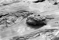 潮汐來到的日子之於夕陽之間-01