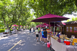 古坑綠色隧道假日市集3